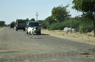 01 PKW-Reise_Bikaner-Jaisalmer_DSC2927_b_H600